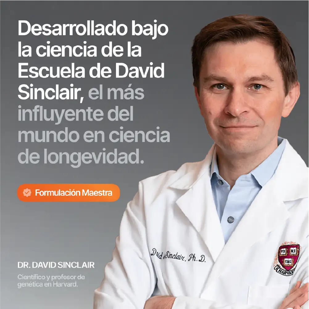 Retromag® - Miniatura 1